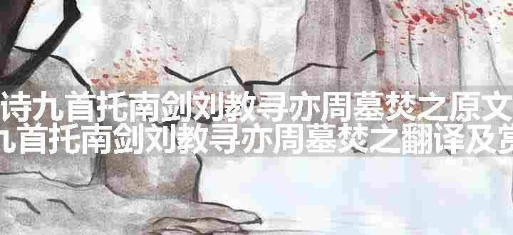 诗九首托南剑刘教寻亦周墓焚之原文、翻译和赏析