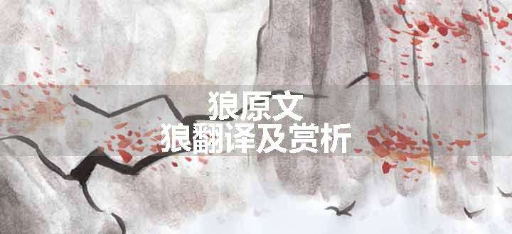狼
