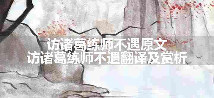 访诸葛练师不遇