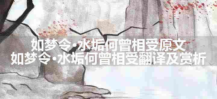 如梦令·水垢何曾相受