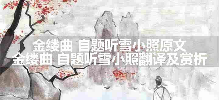 金缕曲 自题听雪小照