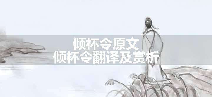 倾杯令