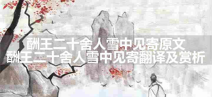 酬王二十舍人雪中见寄