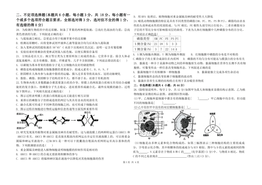 山东省临沂市临沂第十八中学2023-2024学年高一上学期10月阶段性测试生物学试题（含答案）