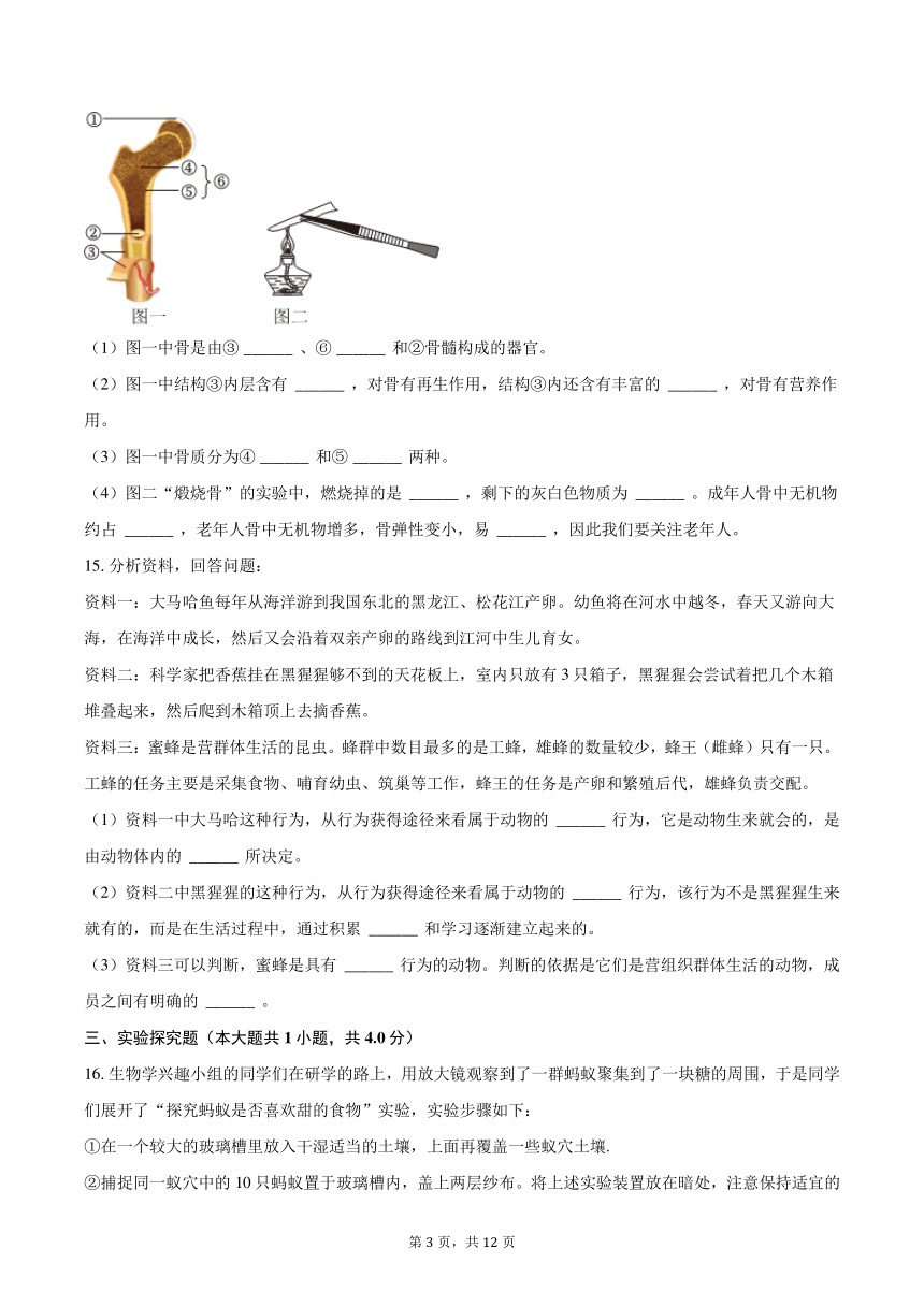 2023-2024学年辽宁省抚顺实验中学八年级（上）月考生物试卷（10月份）(含解析）