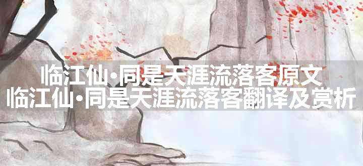 临江仙·同是天涯流落客