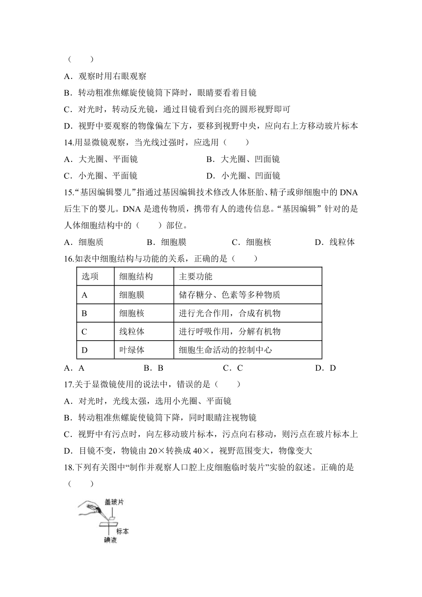 吉林省辽源市东丰县那丹伯镇中学2023-2024学年七年级上学期期中达标生物模拟卷（无答案）