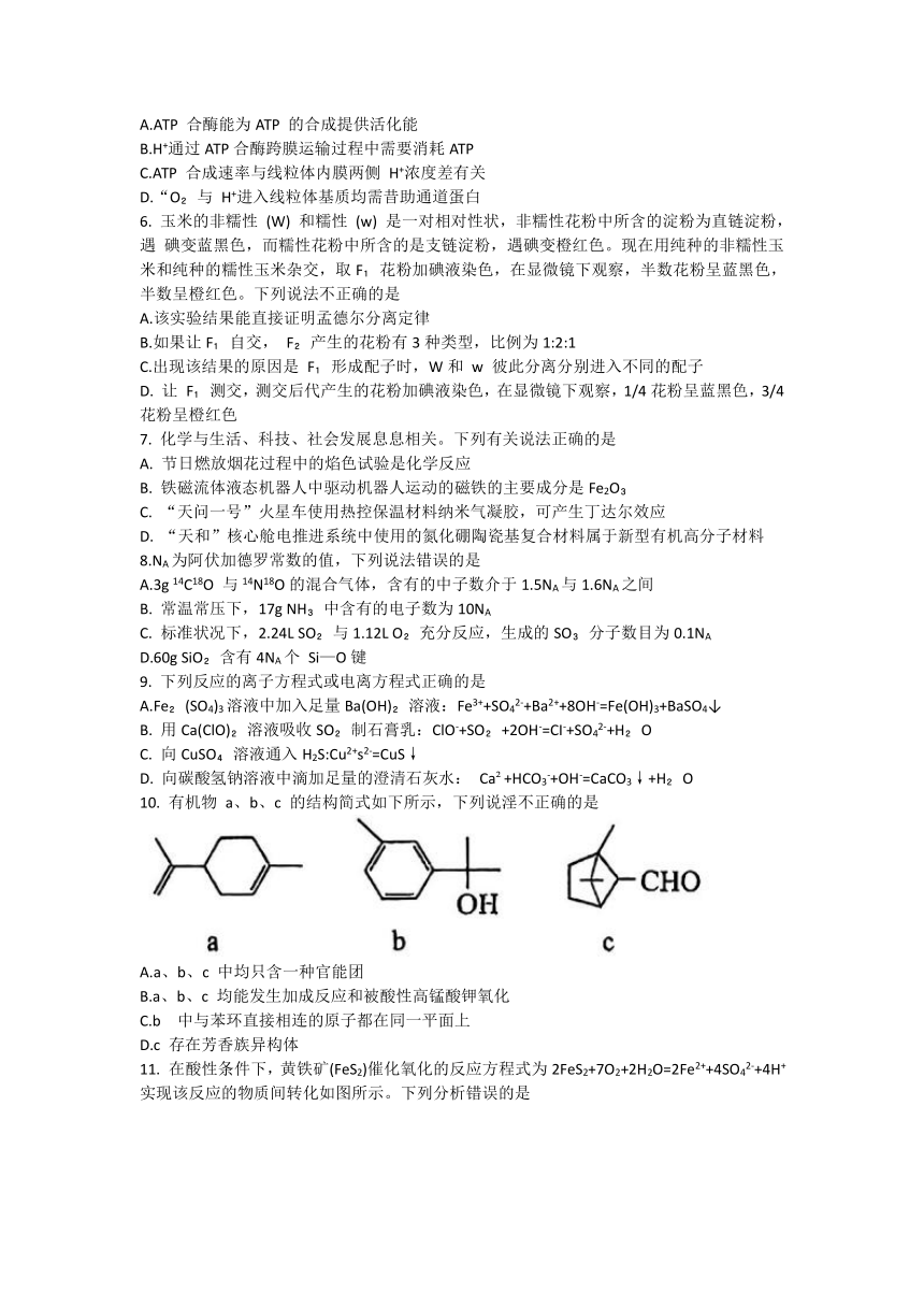 四川省攀枝花市重点中学校2023-2024学年高三上学期第一次统一考试理科综合试卷（含答案）