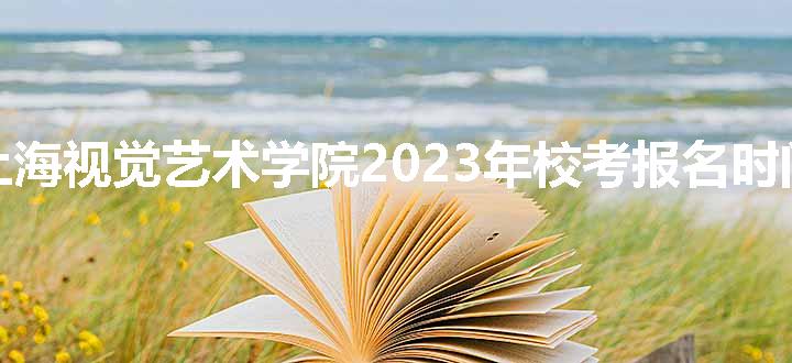 上海视觉艺术学院2023年校考报名时间