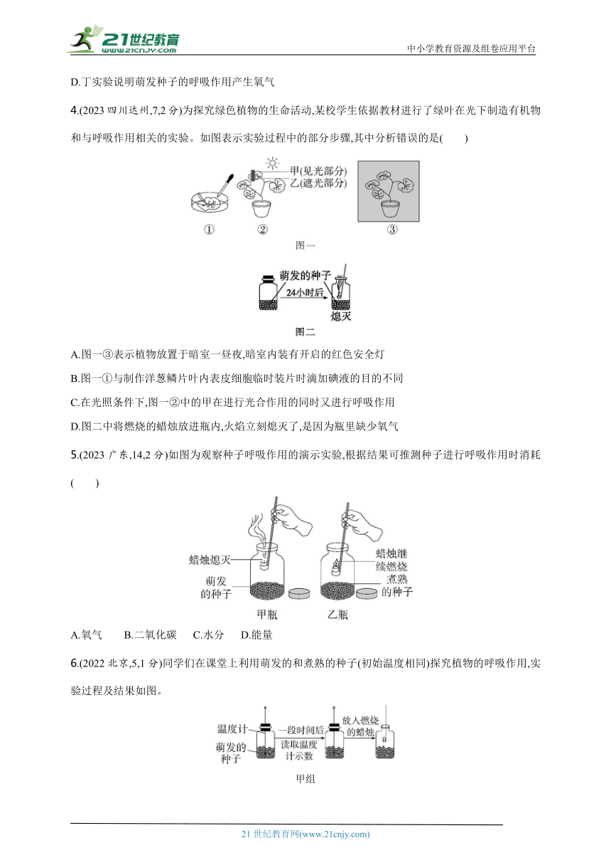 2024年中考生物专题练--实验突破六 探究植物的呼吸作用（含解析）