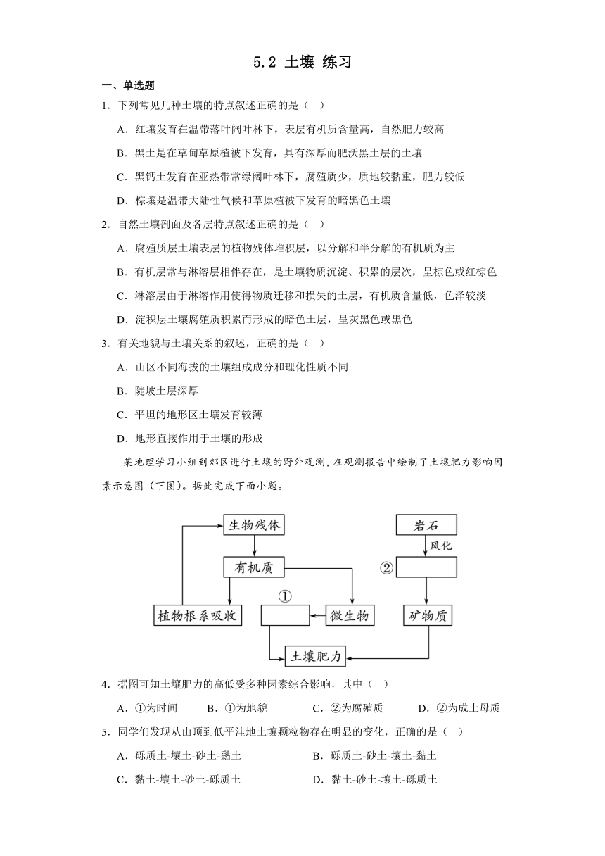 5.2土壤 练习2023-2024学年高一地理人教版（2019）必修第一册（含答案）