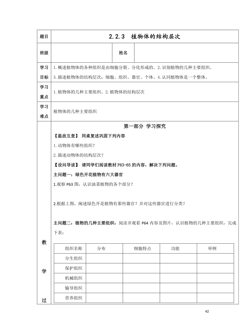 2.2.3 植物体的结构层次学案（表格式 无答案）人教版 初中生物七年级上册