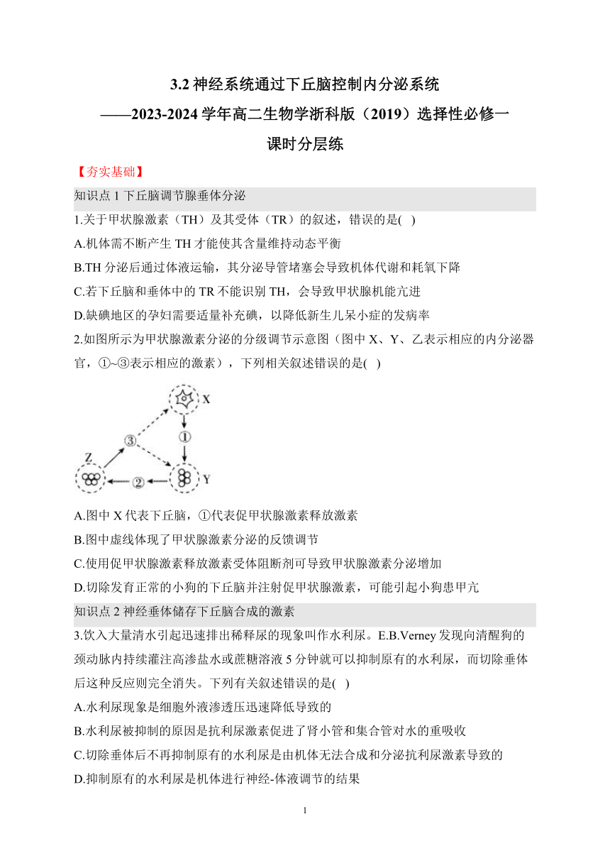 3.2神经系统通过下丘脑控制内分泌系统（含解析）——2023-2024学年高二生物学浙科版（2019）选择性必修一课时分层练