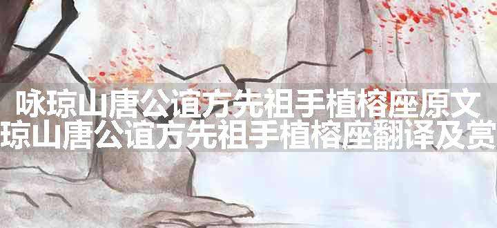 咏琼山唐公谊方先祖手植榕座