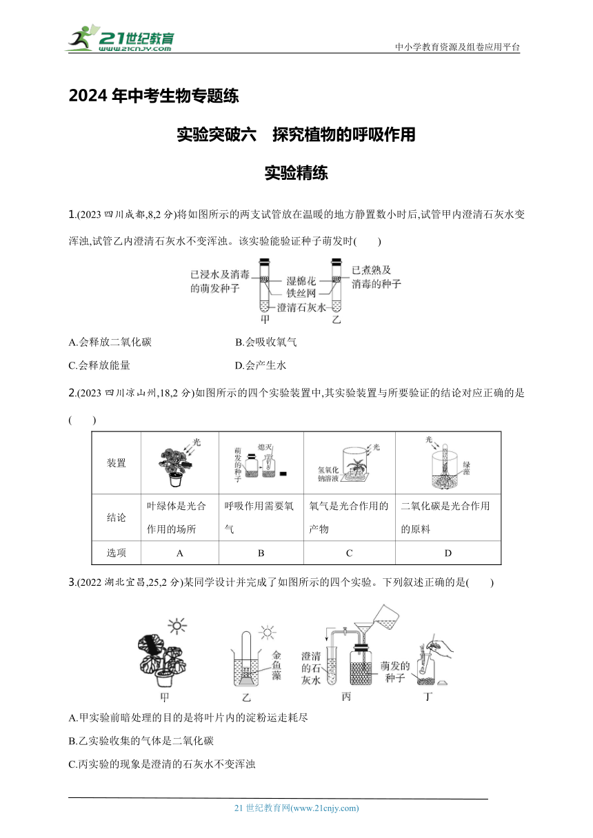 2024年中考生物专题练--实验突破六 探究植物的呼吸作用（含解析）