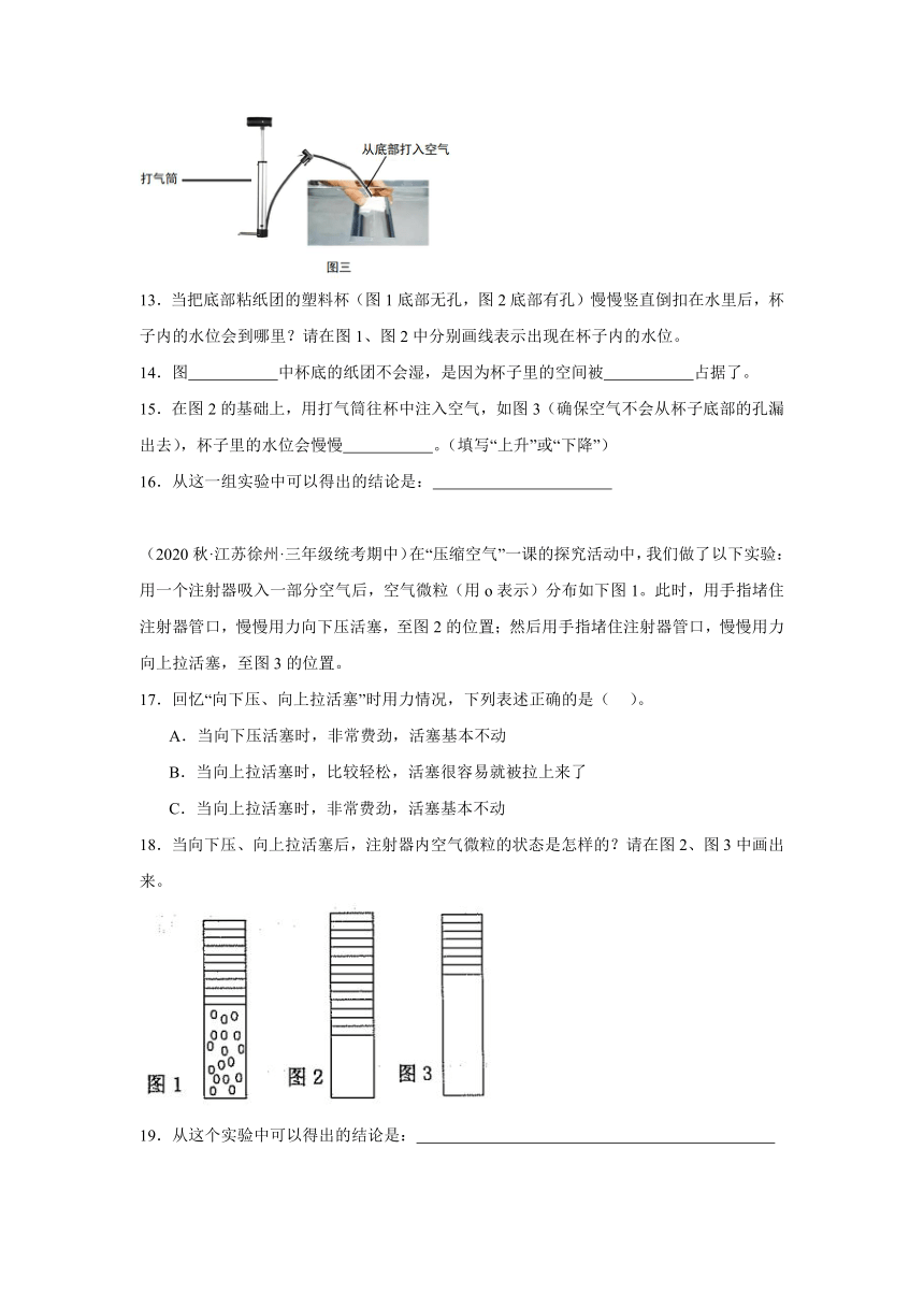 科学三年级上册（苏教版2017）期中 实验题专题训练（含解析）