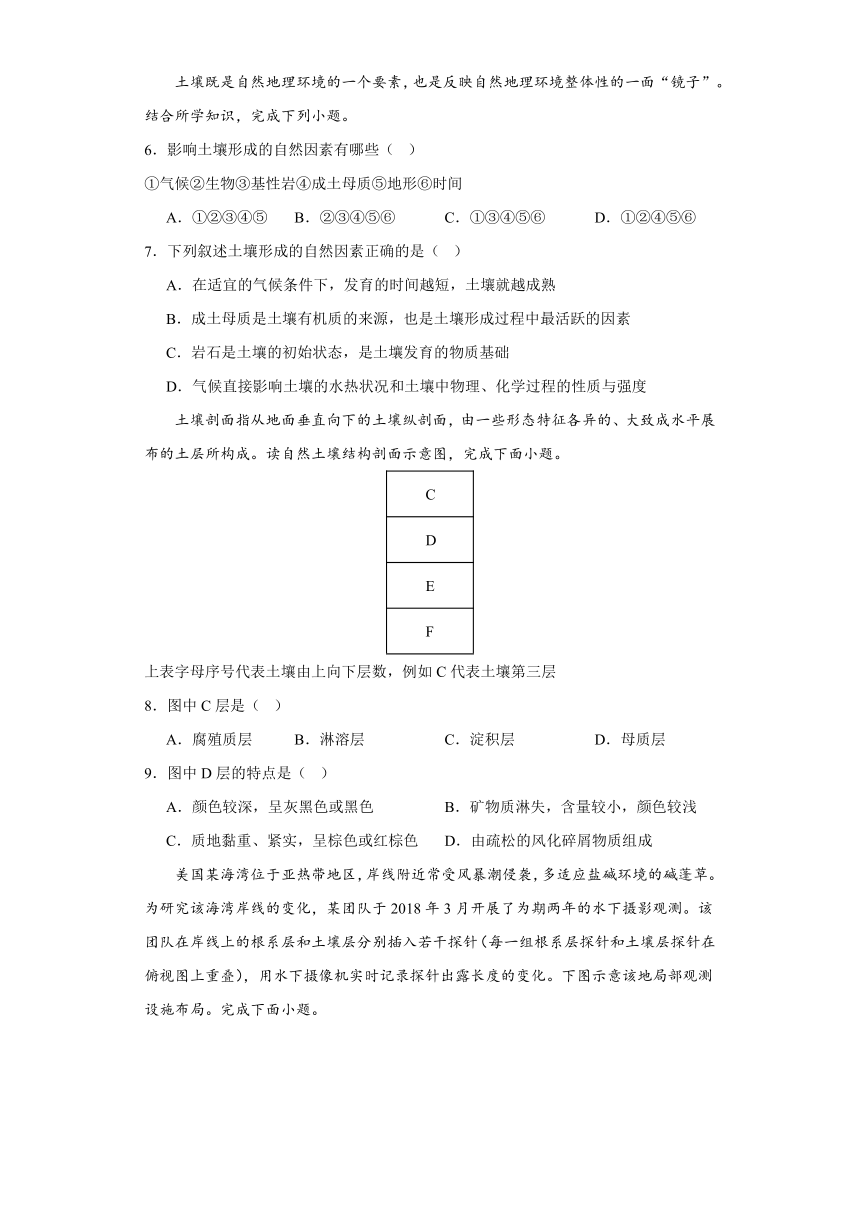 5.2土壤 练习2023-2024学年高一地理人教版（2019）必修第一册（含答案）