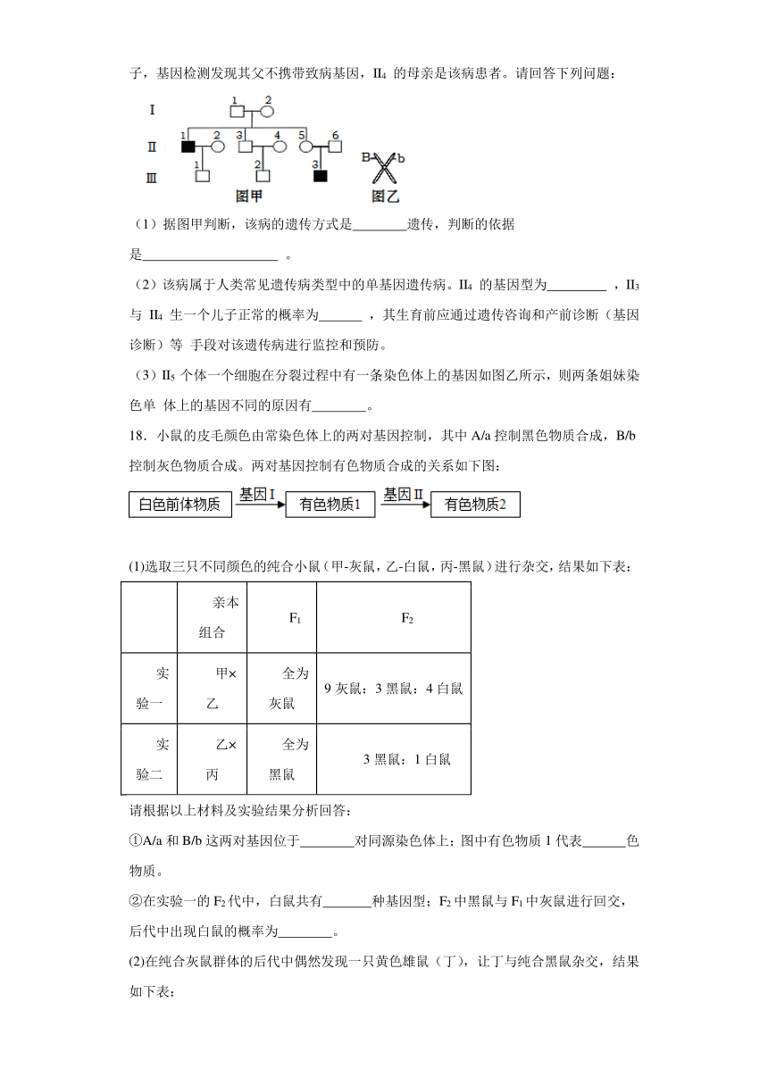 5.2 基因重组 练习 2023—2024学年高一下学期生物北师大版必修2（含答案）