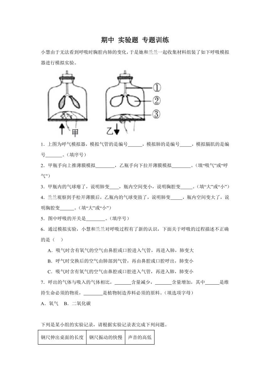 科学四年级上册（粤教版2017）期中 实验题 专题训练（含解析）