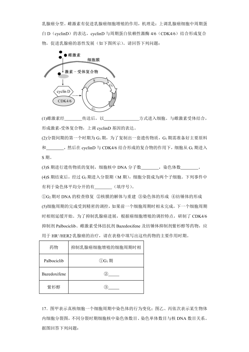 4.1细胞增殖 练习-2023-2024学年高一上学期生物苏教版（2019）必修1（含答案）