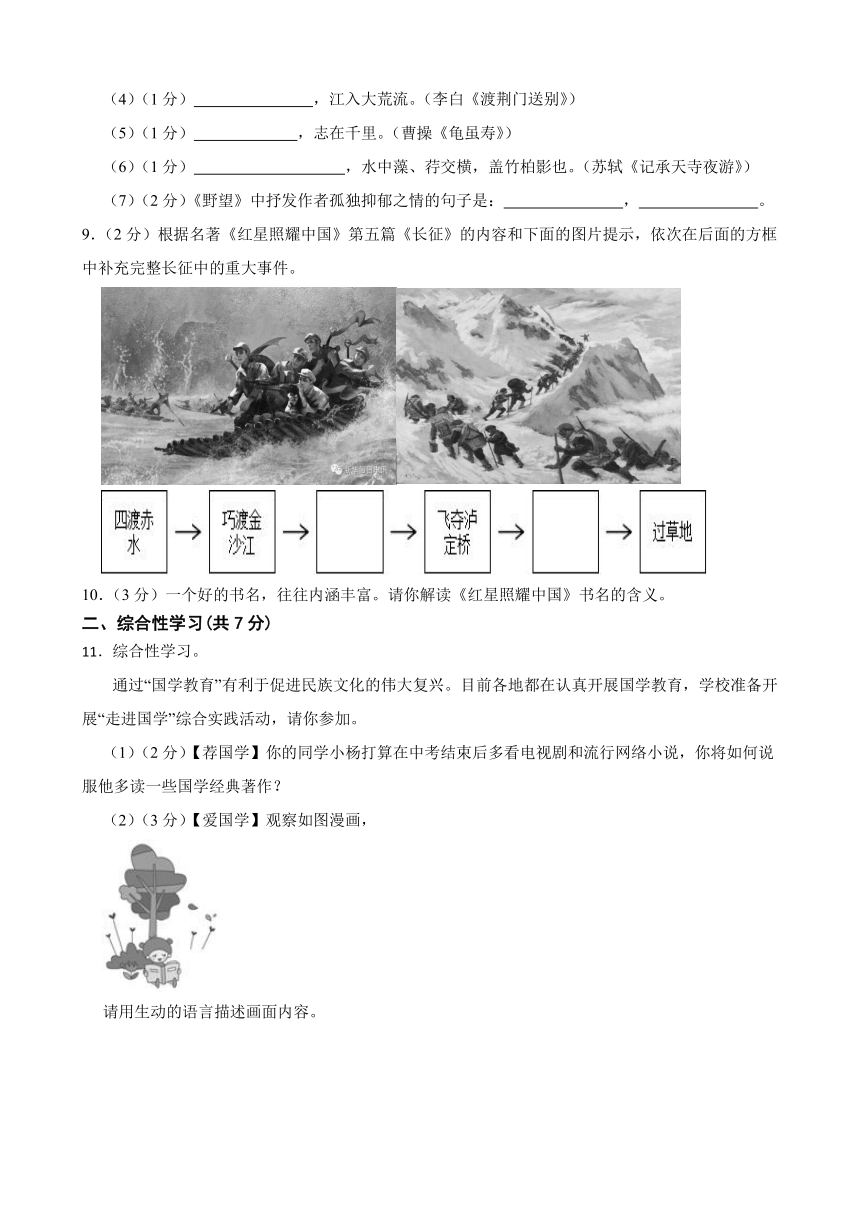 甘肃省武威市凉州区双城镇南安九年制学校2023-2024学年八年级上学期期中考试语文试卷（含答案）