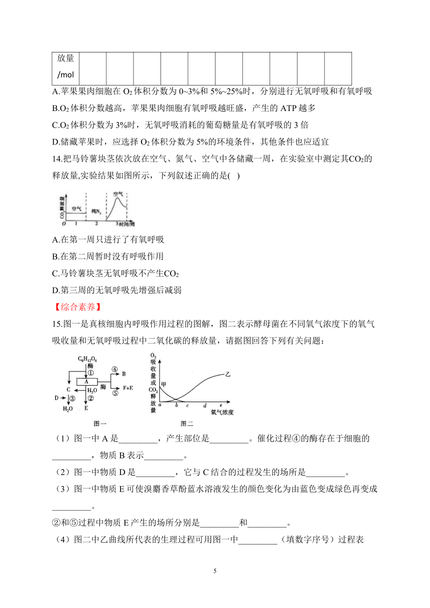 3.4细胞呼吸为细胞生活提供能量（含解析）——2023-2024学年高一生物学浙科版（2019）必修一课时分层练