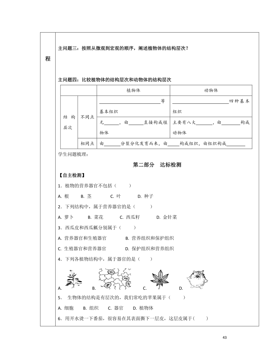 2.2.3 植物体的结构层次学案（表格式 无答案）人教版 初中生物七年级上册