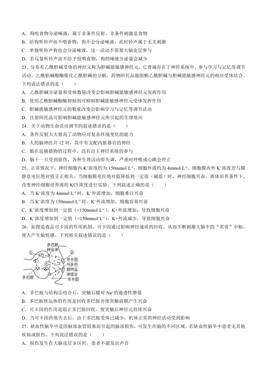 四川省资阳市乐至中学2023-2024学年高二上学期10月月考生物学试题（含答案及解析）