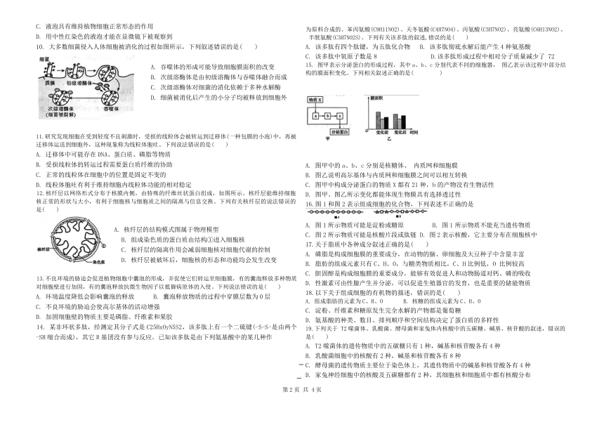 山东省临沂市临沂第十八中学2023-2024学年高一上学期10月阶段性测试生物学试题（含答案）