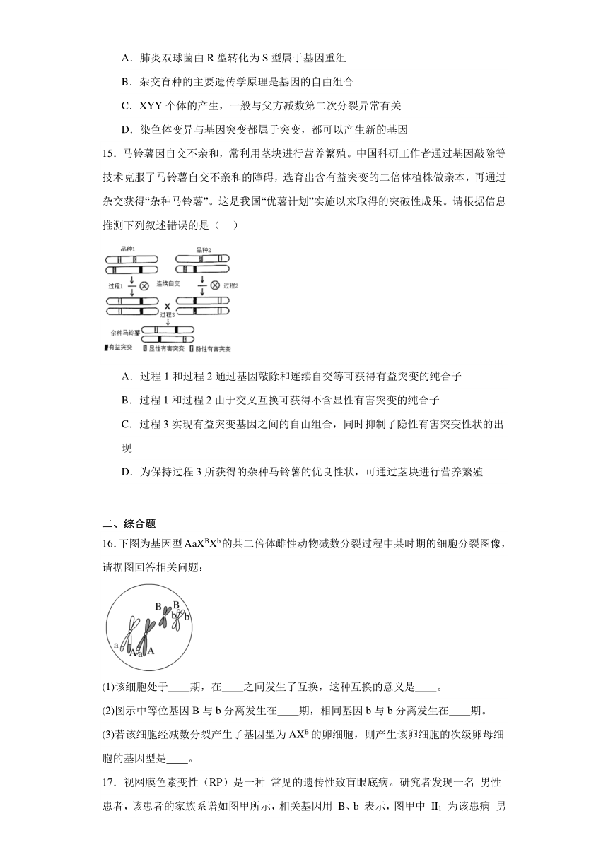 5.2 基因重组 练习 2023—2024学年高一下学期生物北师大版必修2（含答案）