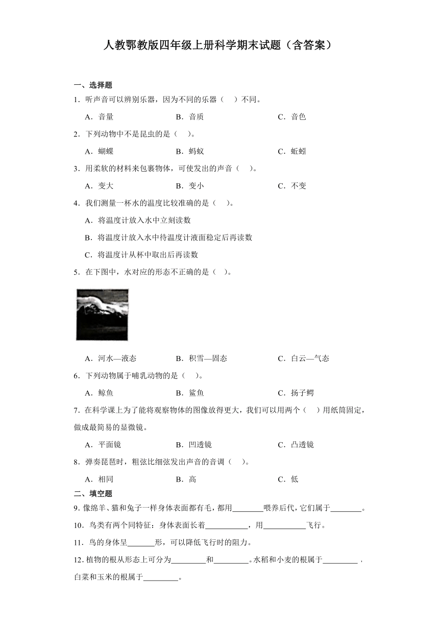 人教鄂教版（2017秋）小学科学 四年级上册 期末试题（含答案）