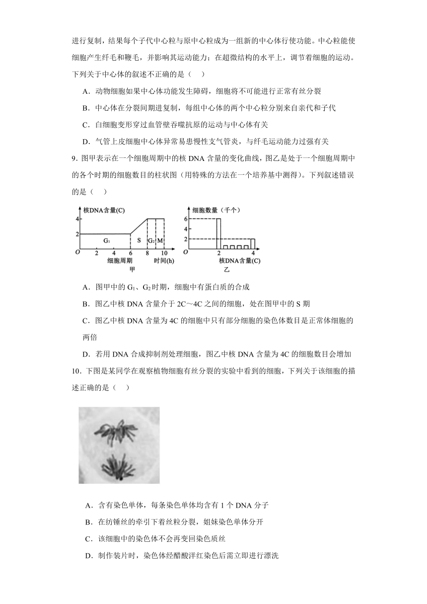 4.1细胞增殖 练习-2023-2024学年高一上学期生物苏教版（2019）必修1（含答案）