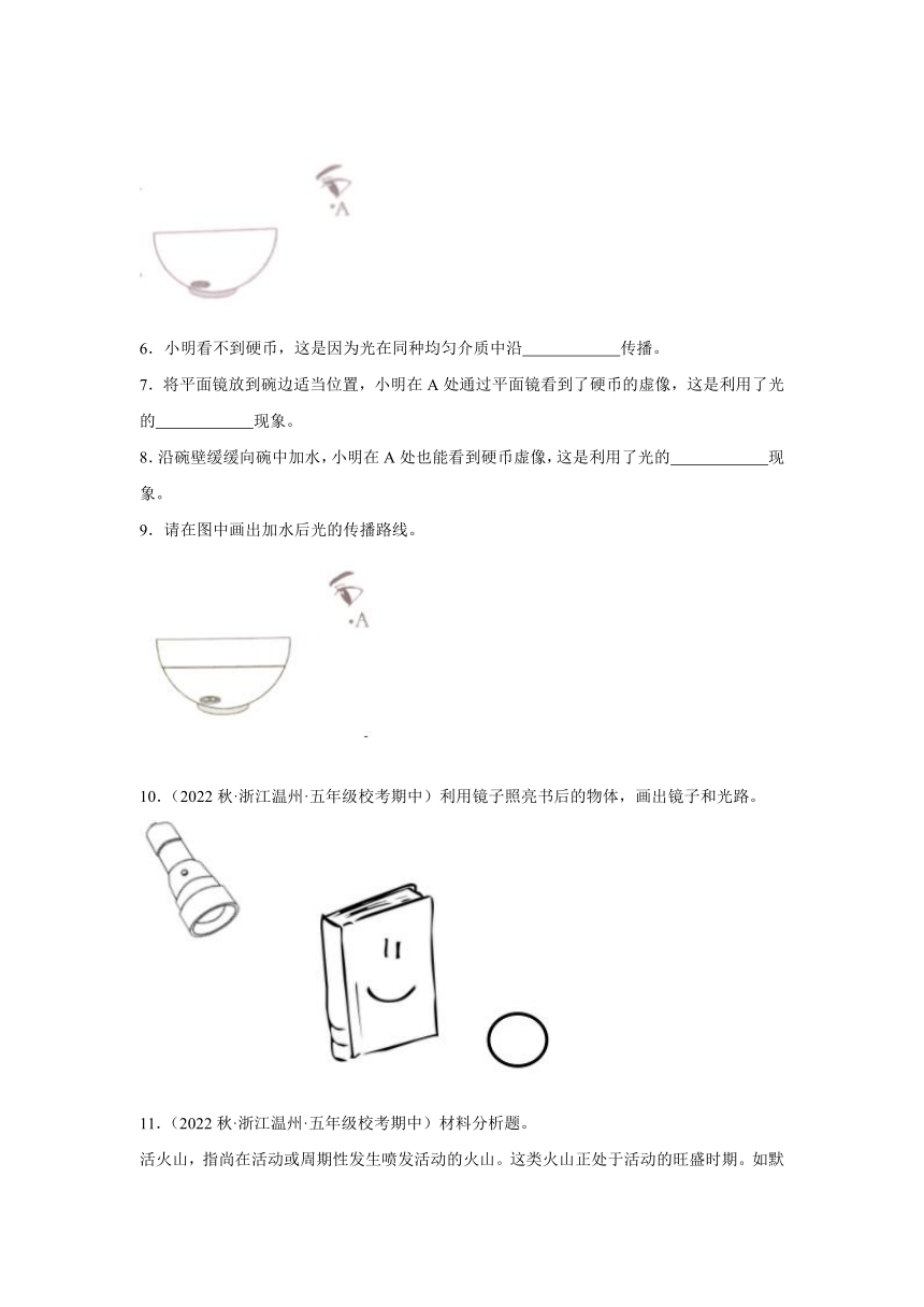 科学五年级上册（教科版2017）期中 综合题专题训练(含解析)