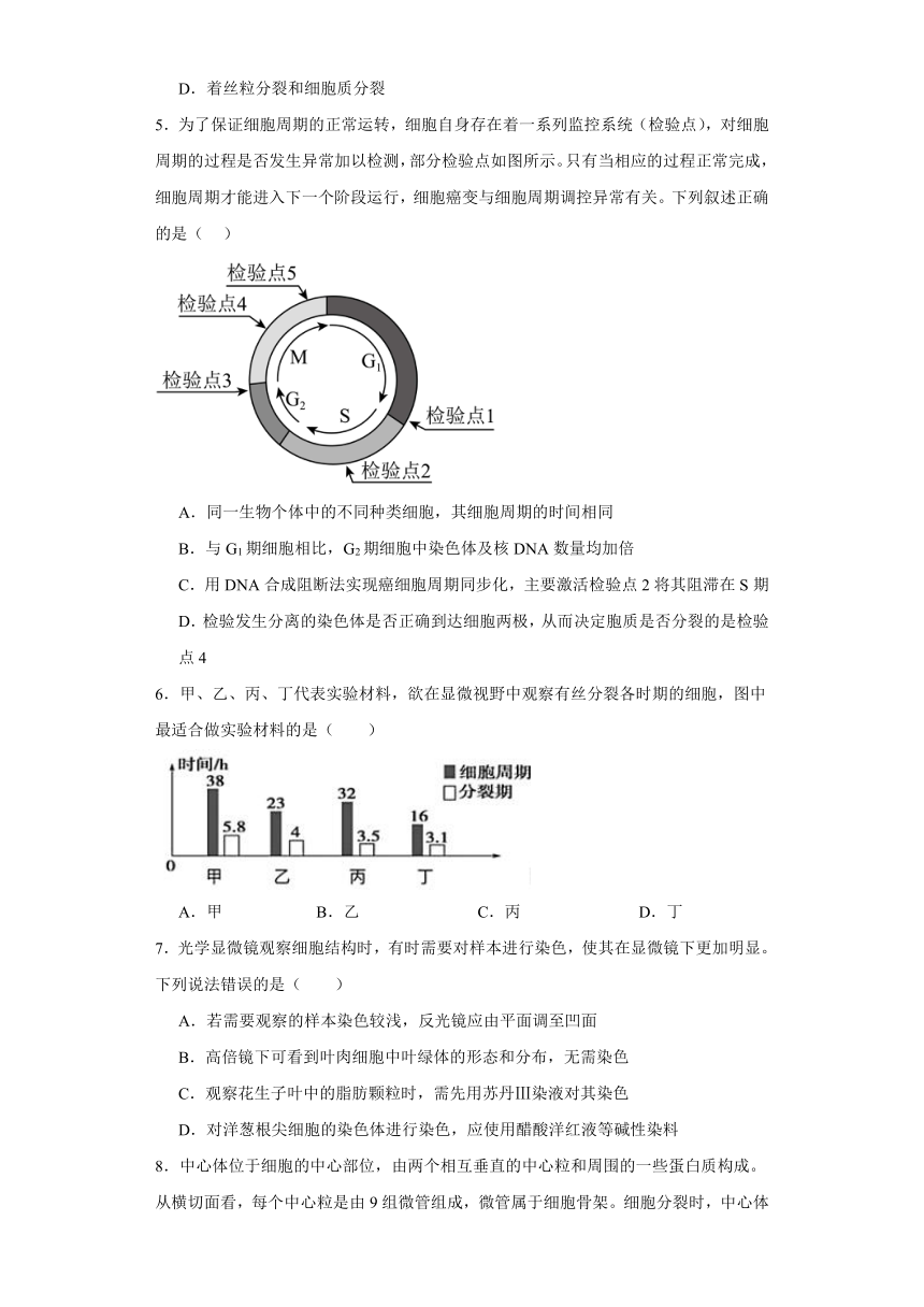 4.1细胞增殖 练习-2023-2024学年高一上学期生物苏教版（2019）必修1（含答案）