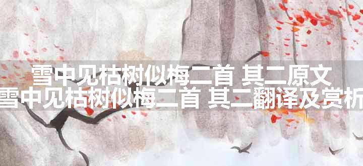 雪中见枯树似梅二首 其二原文、翻译和赏析