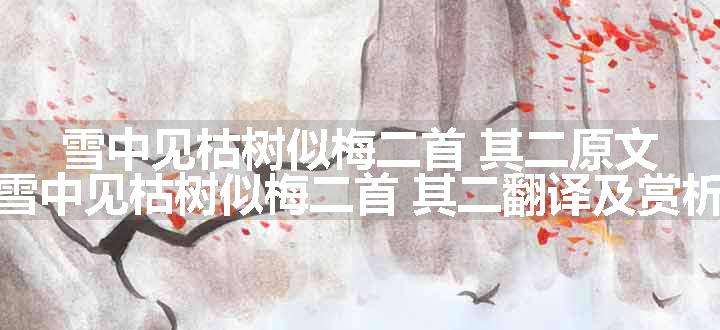 雪中见枯树似梅二首 其二