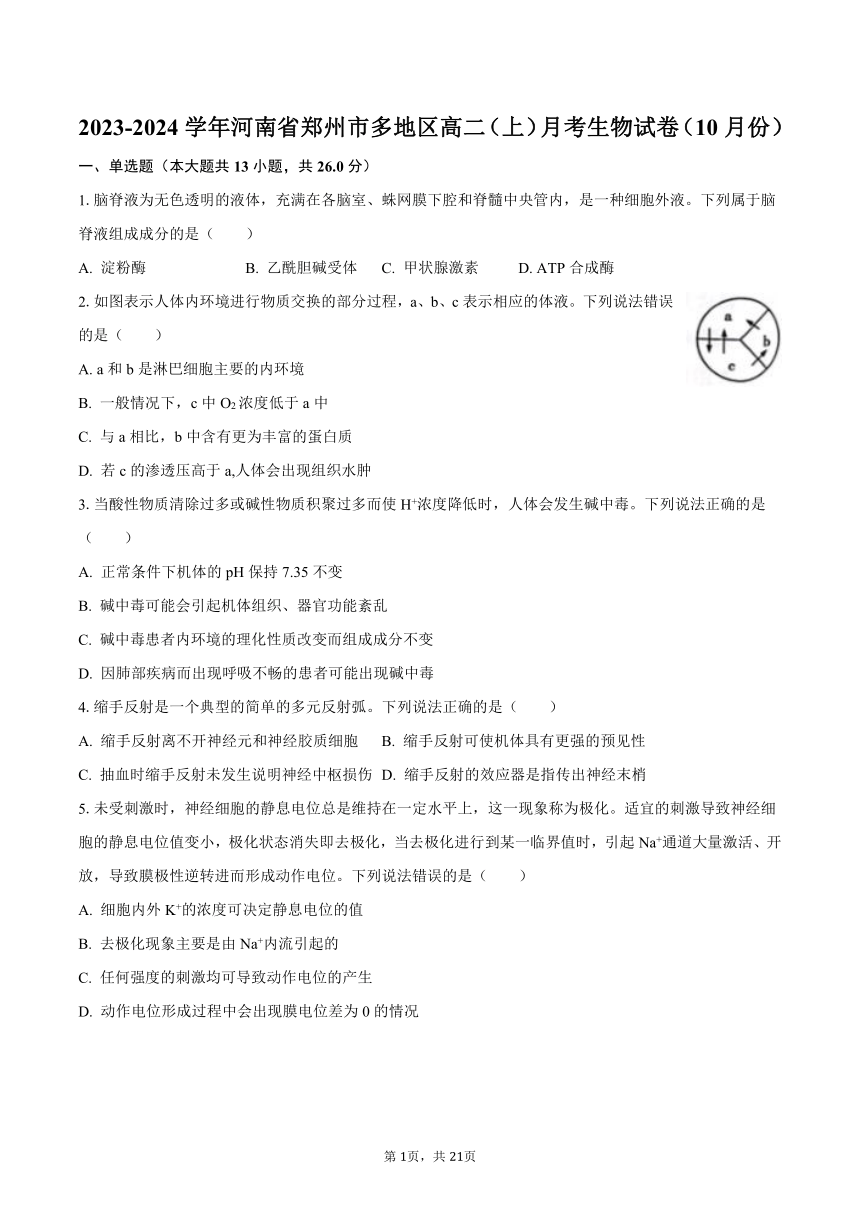 2023-2024学年河南省郑州市多地区高二（上）月考生物试卷（10月份）（含解析）