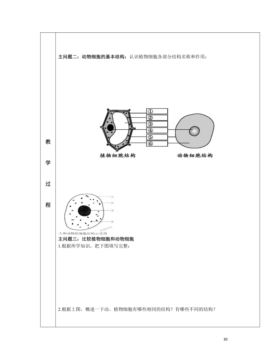 2.1.3 动物细胞学案（表格式 无答案）人教版七年级上册