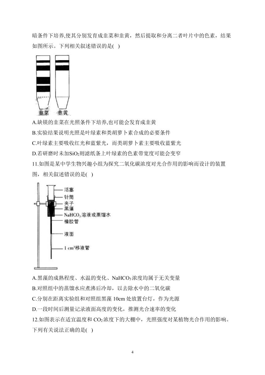 3.5光合作用将光能转化为化学能（含解析）——2023-2024学年高一生物学浙科版（2019）必修一课时分层练