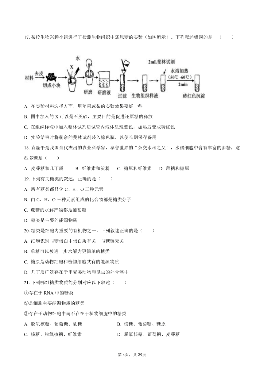 2023-2024学年江苏省南京市江宁区重点中学高一（上）第一次学情调研生物试卷（10月份）（含解析）