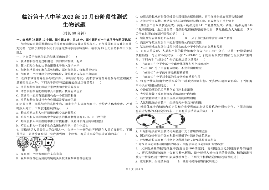 山东省临沂市临沂第十八中学2023-2024学年高一上学期10月阶段性测试生物学试题（含答案）