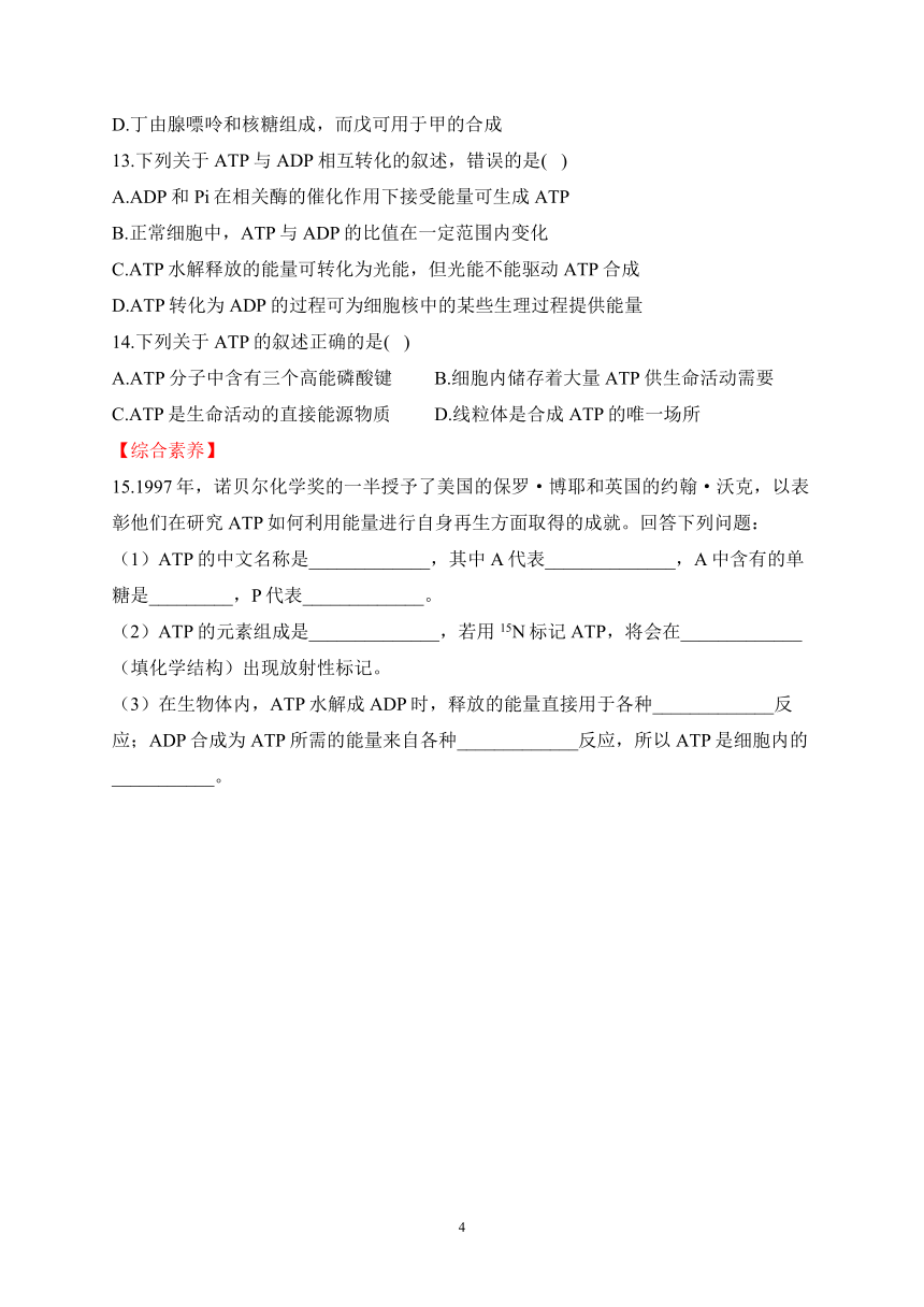 3.1ATP是细胞内的“能量通货”（含解析）——2023-2024学年高一生物学浙科版（2019）必修一课时分层练