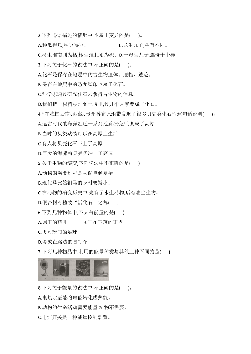 2022--2023学年度冀人版六年级科学第一学期期中测试题（word版 无答案）