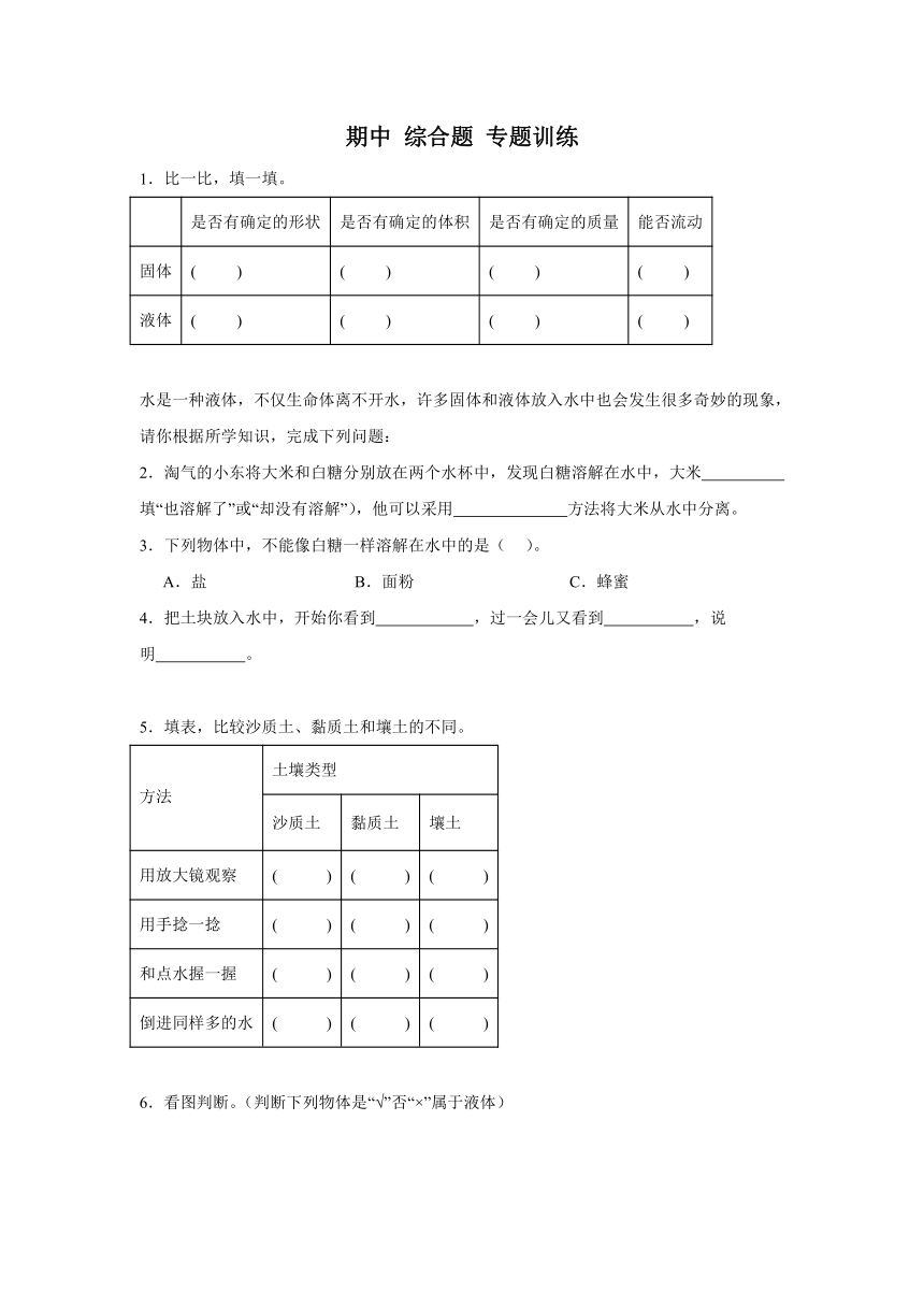 科学三年级上册（苏教版2017）期中综合题 专题训练（含解析）