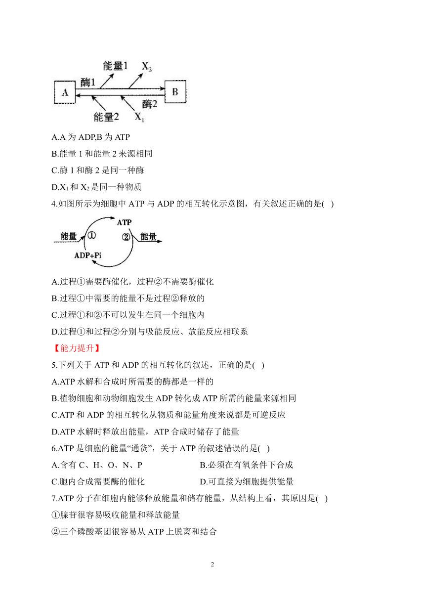 3.1ATP是细胞内的“能量通货”（含解析）——2023-2024学年高一生物学浙科版（2019）必修一课时分层练