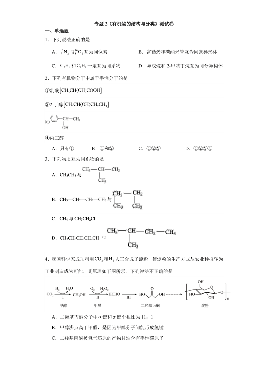 专题2 有机物的结构与分类 测试卷（含解析）2023-2024学年高二下学期化学苏教版（2019）选择性必修3