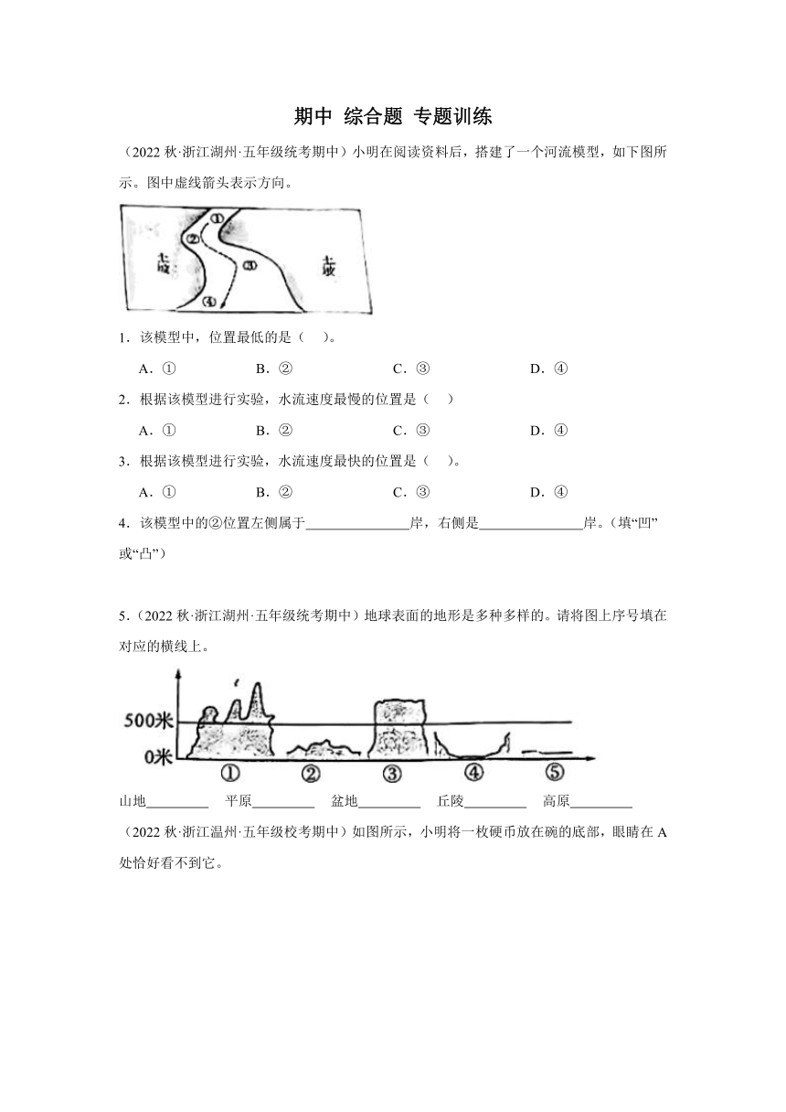 科学五年级上册（教科版2017）期中 综合题专题训练(含解析)