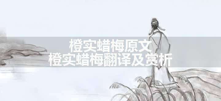 橙实蜡梅