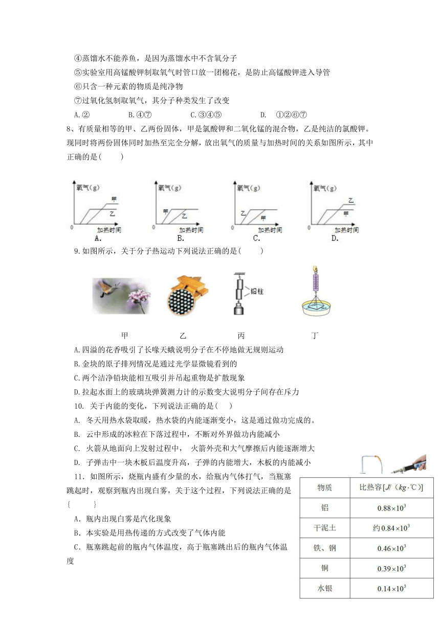 2023-2024学年湖北省武汉市青山区武钢实验学校九年级（上）调研理化试卷（无答案）