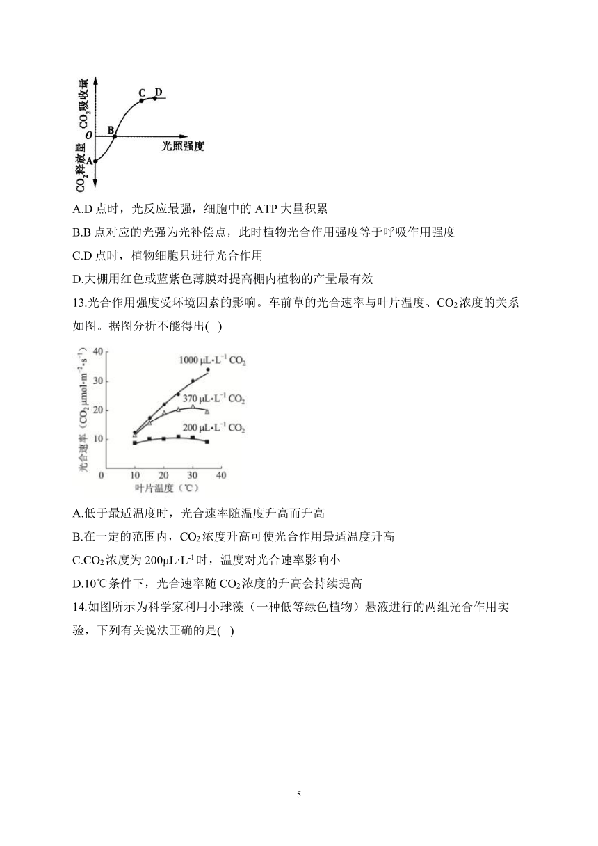 3.5光合作用将光能转化为化学能（含解析）——2023-2024学年高一生物学浙科版（2019）必修一课时分层练